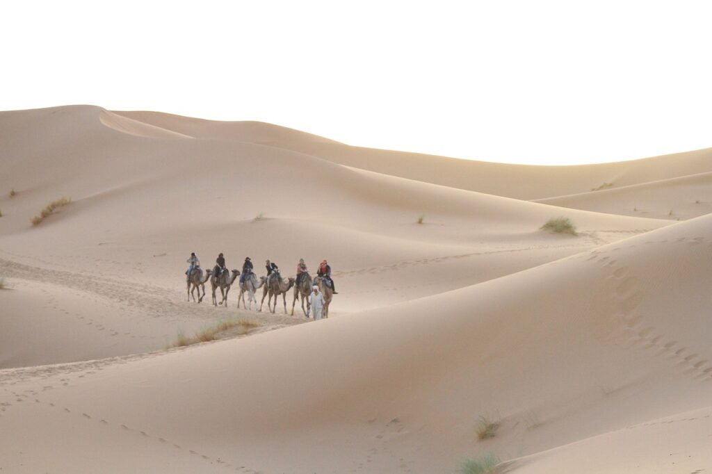 5 mind-blowing activities in the Moroccan Sahara