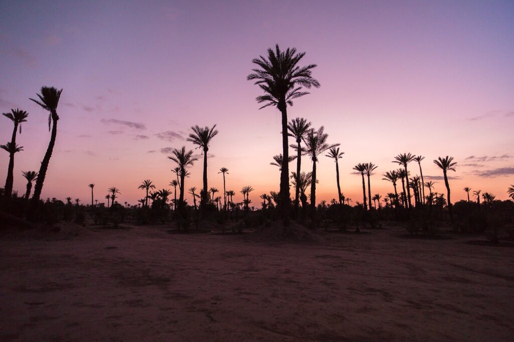 Tourisme marocain : récap des alliances stratégiques en 2023 Tourisme marocain : récap des alliances stratégiques en 2023